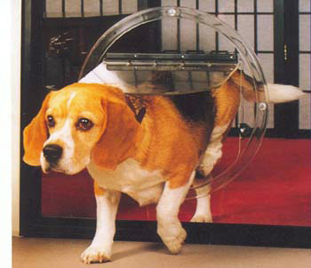 Transcat Dog Door