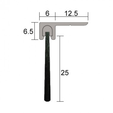 IS5160H Sweep Action Seal