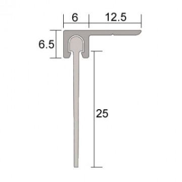 IS5161Hsi-176Asi Sweep Action Seal